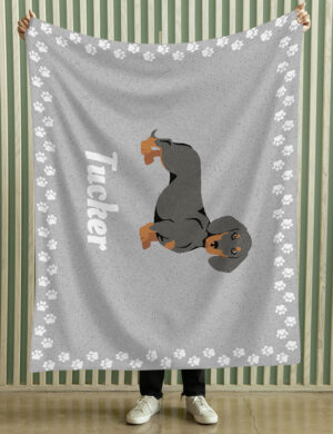 Dachshund - Product Shots2