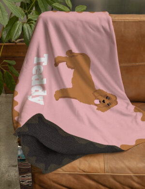 Labradoodle - Product Shots3