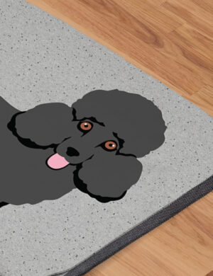 Miniature Poodle - Product Shots