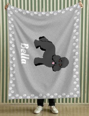 Miniature Poodle - Product Shots2