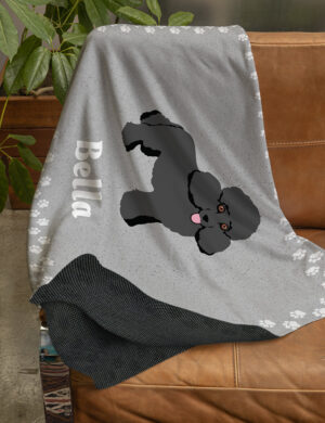 Miniature Poodle - Product Shots3