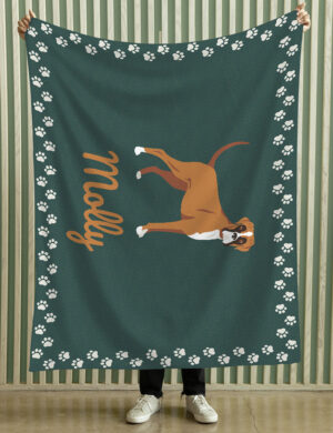 Boxer - Product Shots3