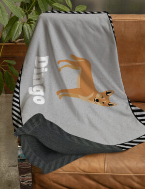 Dingo - Product Shots3
